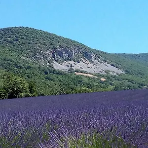 La Fleur D'olivier Nyons